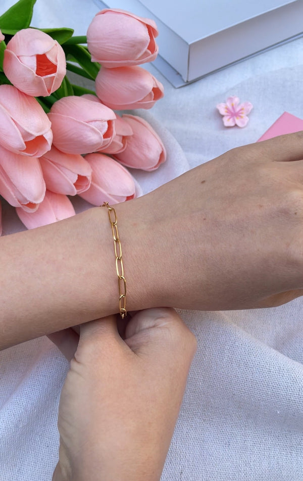 سوار السلسلة الذهبية