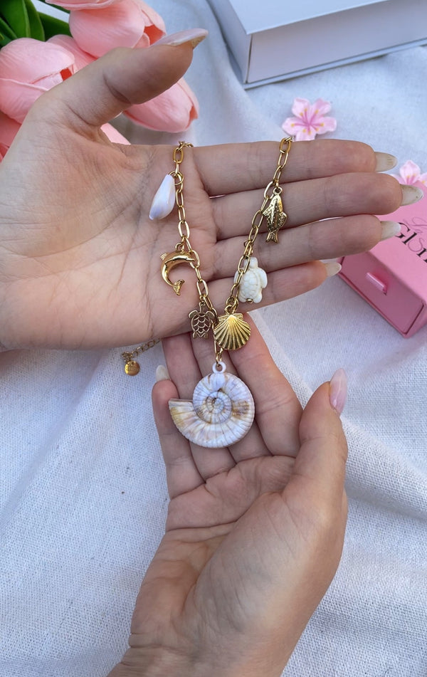 سنسال الصدفة وكنوز البحر