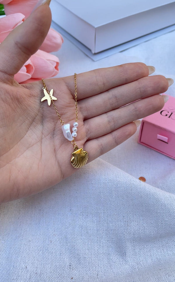 سنسال المحار واللولو