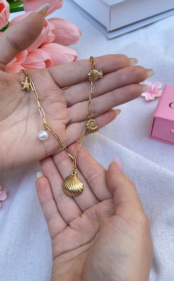 سنسال المحارة