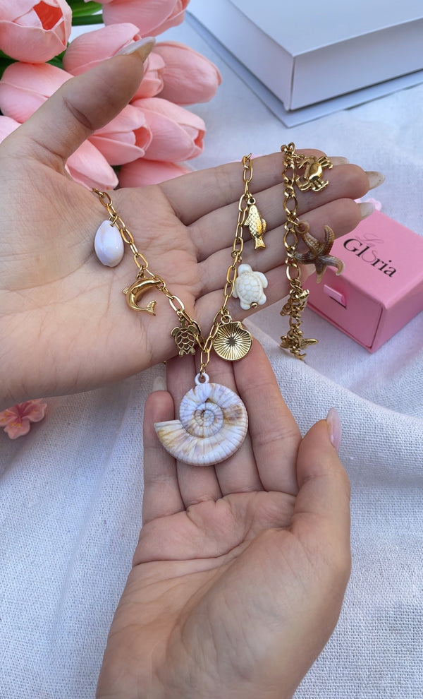 طقم الصدفة وكنوز البحر