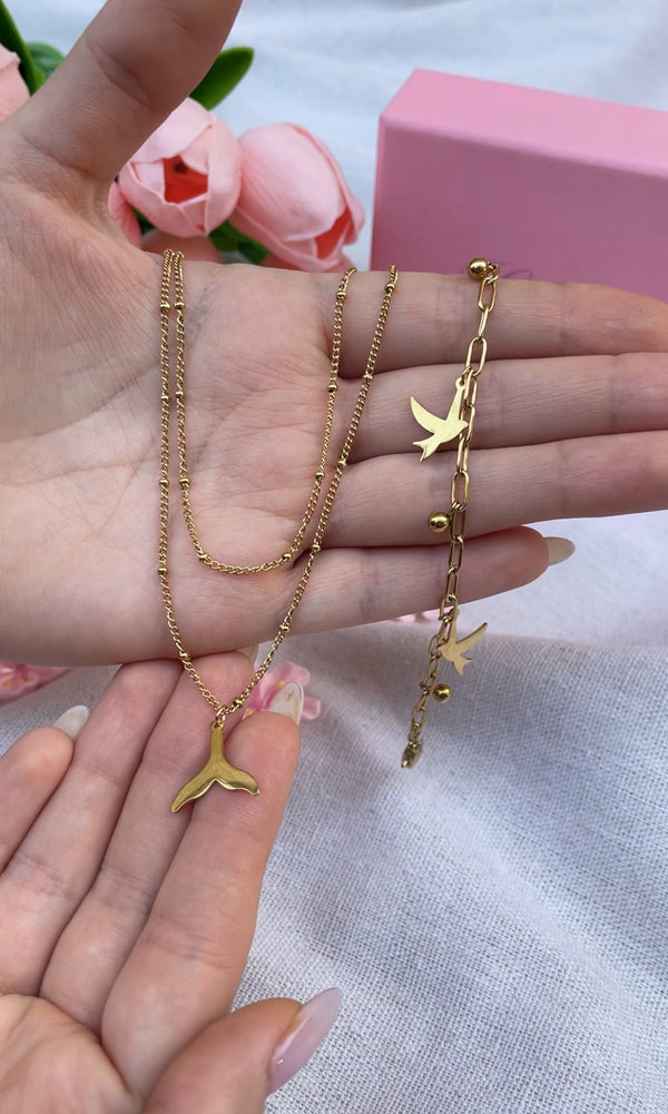 طقم الدولفين